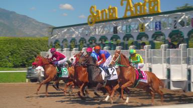 Race for the Crown 1x1