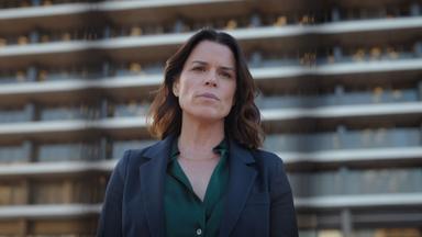 El abogado del Lincoln 4x9