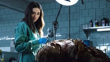 La cosa del pantano 1x1