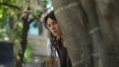 El tiempo de las moscas 1x2