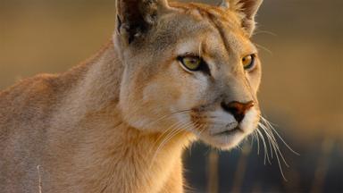 Nuestros grandiosos parques nacionales 1x2