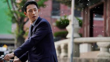 Campanilla de invierno 1x4